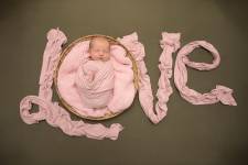 Vicky FERRE - VICKY FERRE PHOTOGRAPHIE