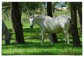 Laurent SERGEANT - Drone inspir